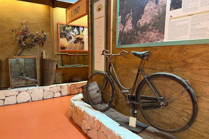 アルベロベッロ：ワインセラーとワイン博物館を訪れてワイン体験