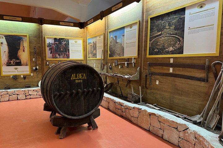 アルベロベッロ：ワインセラーとワイン博物館を訪れてワイン体験