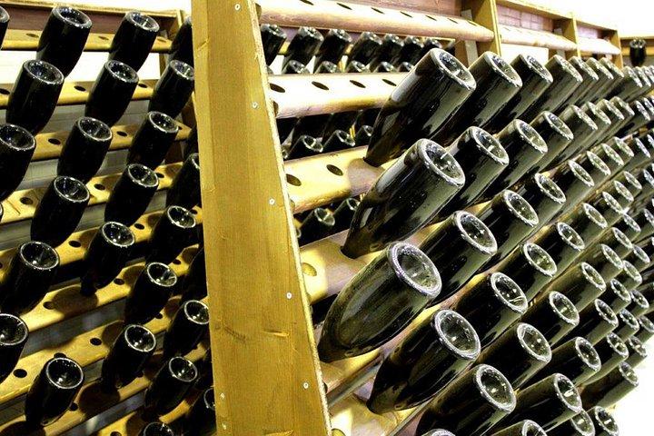 アルベロベッロ：ワインセラーとワイン博物館を訪れてワイン体験