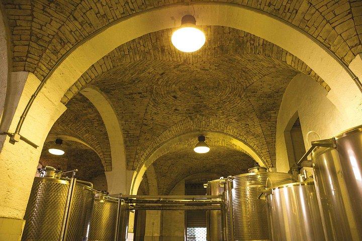 アルベロベッロ：ワインセラーとワイン博物館を訪れてワイン体験