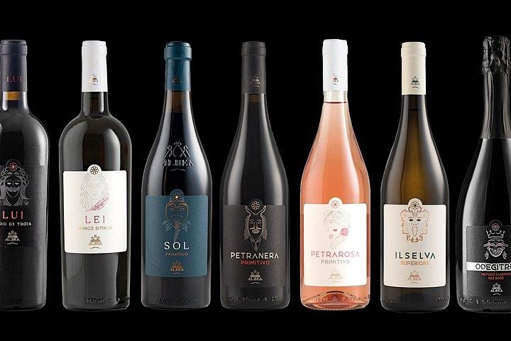 Alberobello : Wine Experience with visit to Winery and Wine Museum