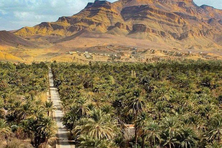 Marrakech Desert Tour with Luxury Camp & Camel Trek