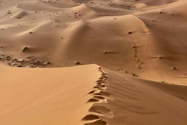 Marrakech Desert Tour with Luxury Camp & Camel Trek