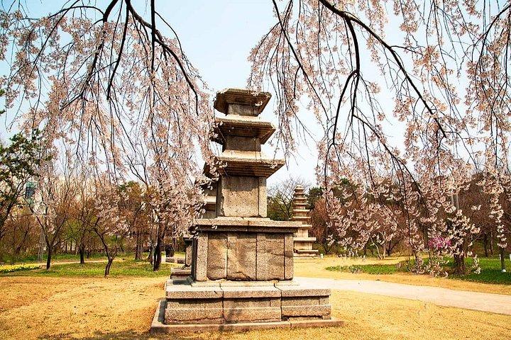 Seoul Museum Guided Walking Tour 2 Hours