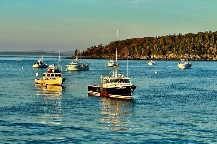 Acadia National Park og Maine Coast 2 - Dagstur