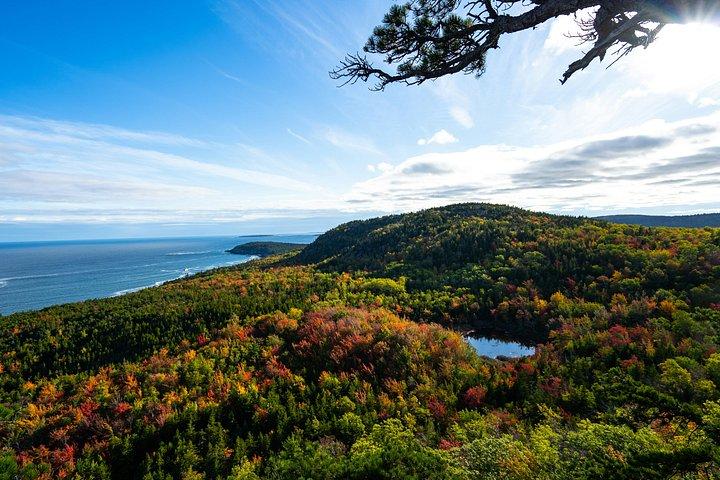 Acadia National Park og Maine Coast 2 - Dagstur