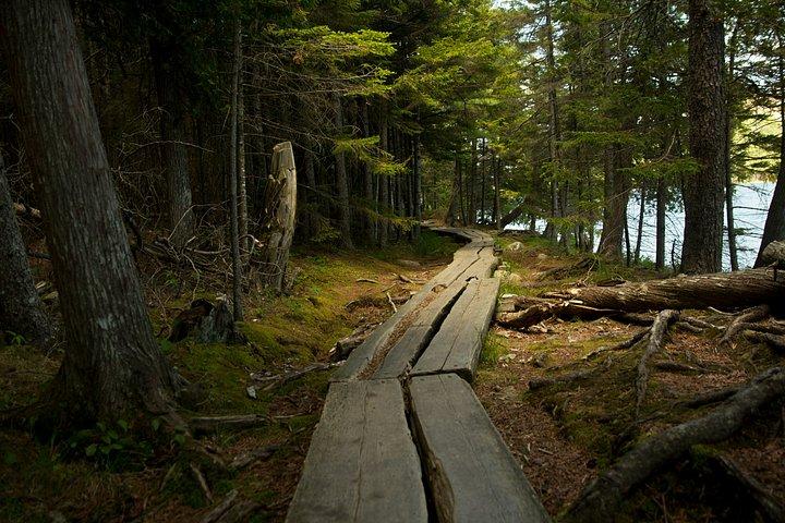 Acadia National Park og Maine Coast 2 - Dagstur