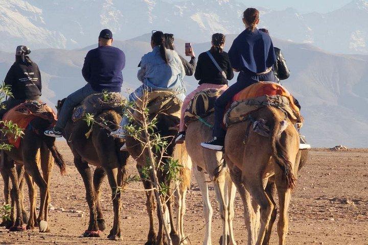 Agafay Desert Quadfahren, Kamelreiten, Pool & Mittagessen