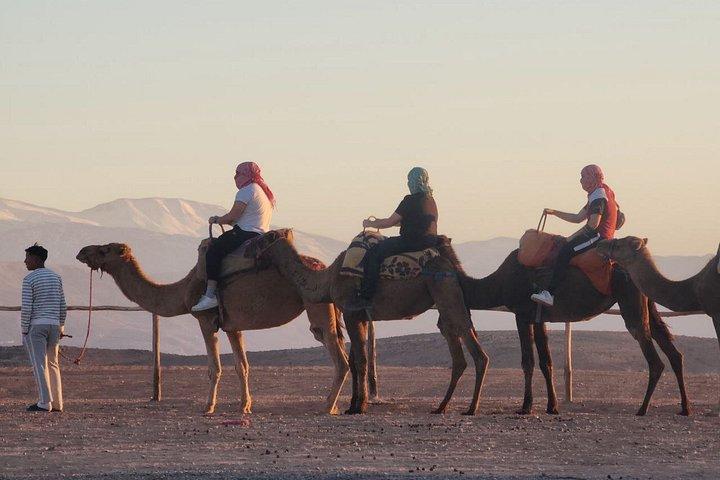 Agafay Desert Quadfahren, Kamelreiten, Pool & Mittagessen