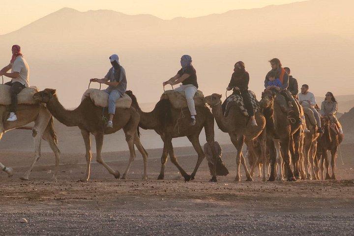Agafay Desert Quadfahren, Kamelreiten, Pool & Mittagessen