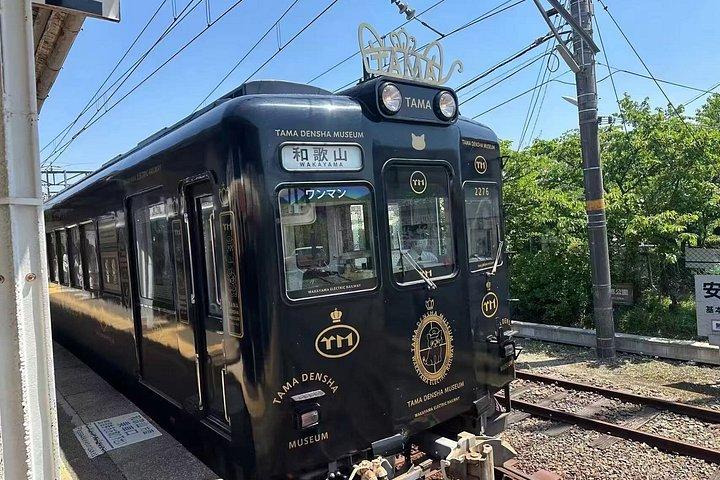関西から和歌山県までのクラシック日帰りツアー