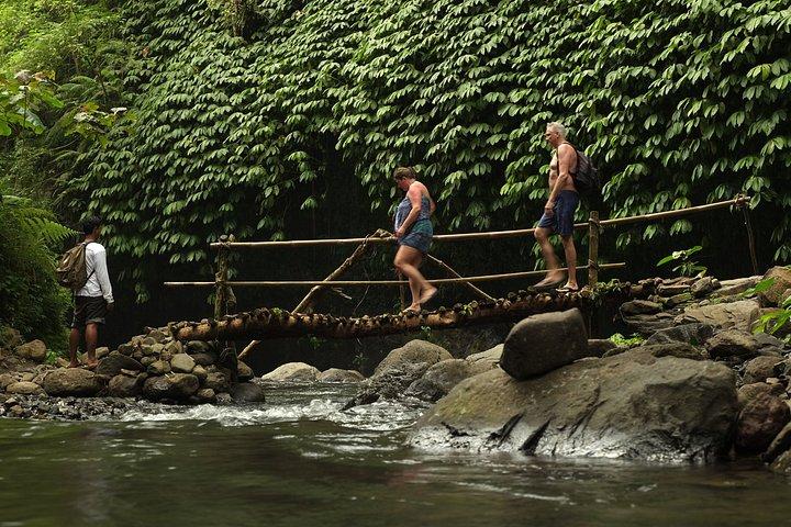 Trekking and Sightseeing tour with lunch