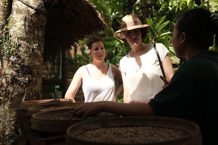 Trekking and Sightseeing tour with lunch
