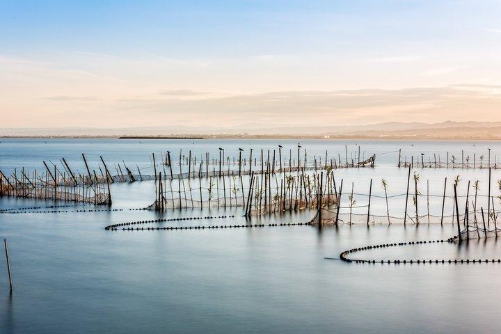 Reserva Natural de la Albufera & Orange Orchard Farm : Tour Privado