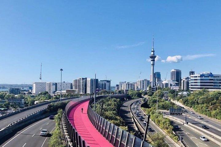 Privat chaufför för 3 dagar från Auckland - Flexibel anpassad tur