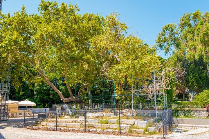Kos Private Fully Customizable Sightseeing Tour