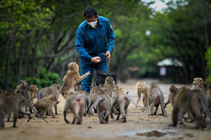 HCM : UNESCO-geschützte Can Gio Mangrove und Monkey Island Trek