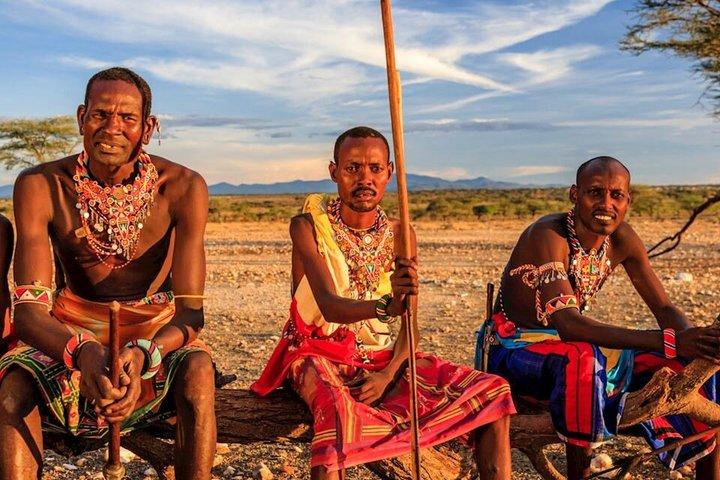 8 Tage Samburu Sweetwaters und Maasai Mara Mid Range Safari