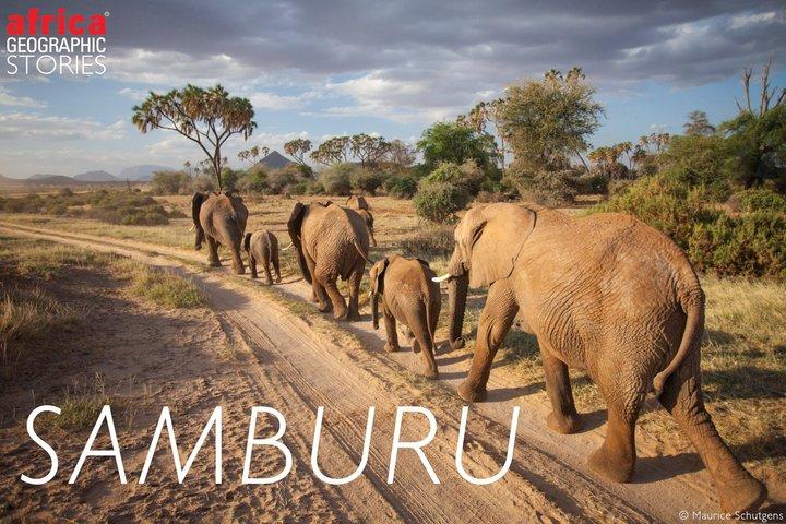 8 dagar Samburu Sweetwaters och massaj Mara Mid Range Safari