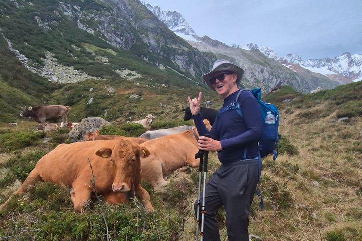 終日ハイキングスイスアルプスと湖泳（送迎付き）