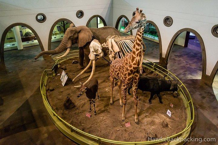 ナイロビ国立博物館＆ディナーサファリパーク中国語レストラン