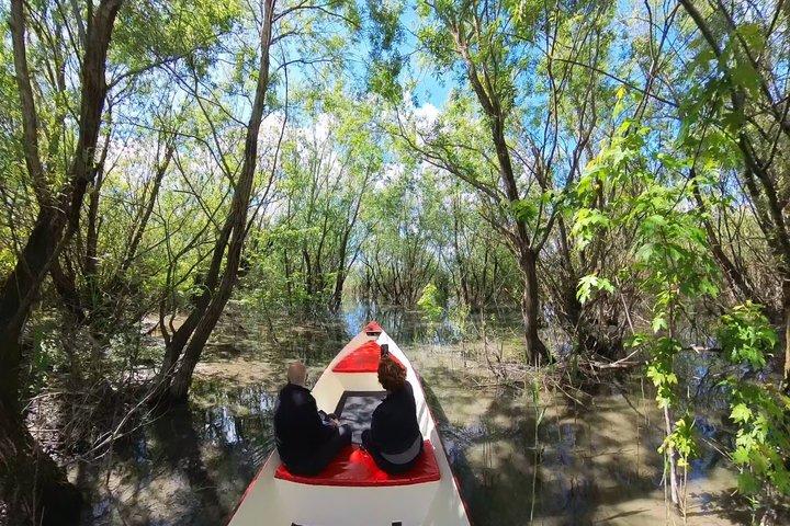 2 uur durende begeleide Amazon Boat Tour