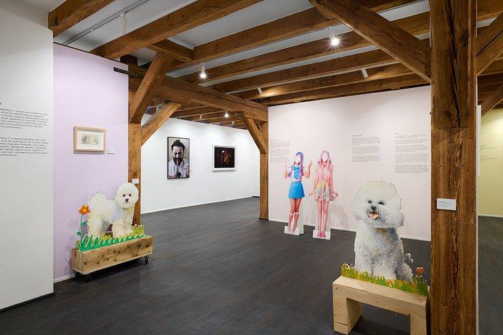 Museo MACA 'Banksy & Street Art: Exposición de arte de los primeros años'