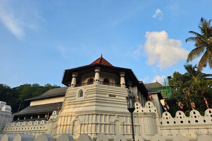 Tour de 10 días en Sri Lanka