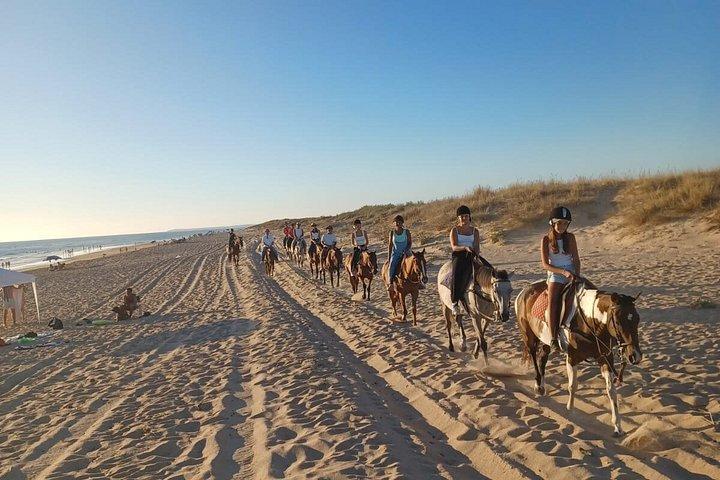 Stunning Sundown Beach Ride on horseback! MINIMUM 2 PARTICIPANTS