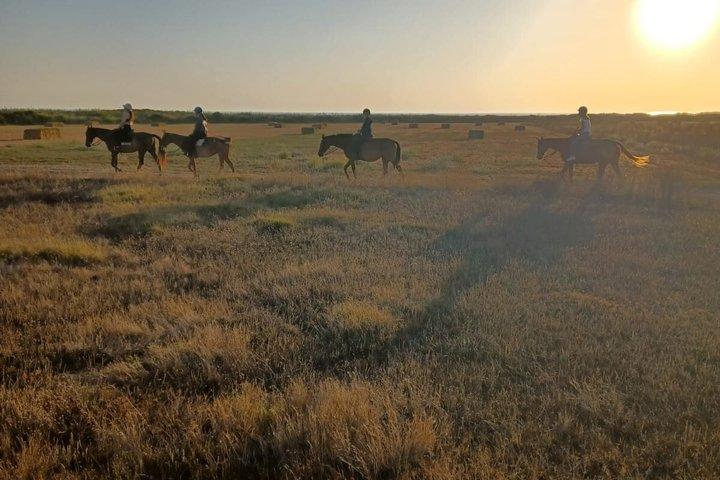 Stunning Sundown Beach Ride on horseback! MINIMUM 2 PARTICIPANTS