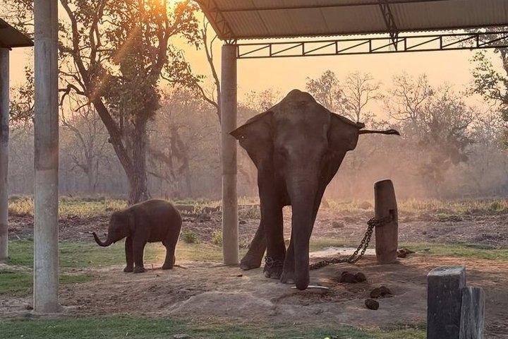 Chitwan National Park com a Torre da Selva