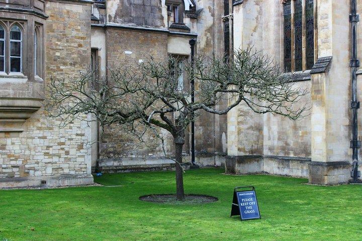 Visite libre guidée de Cambridge UK avec application