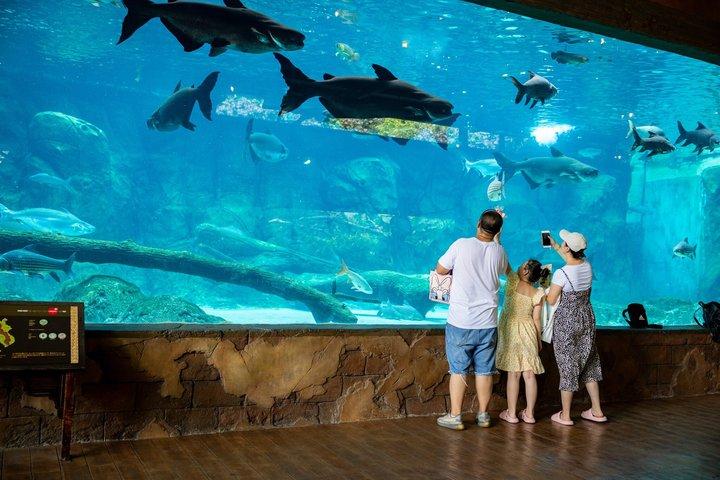 Entrada a Singapore River Wonders