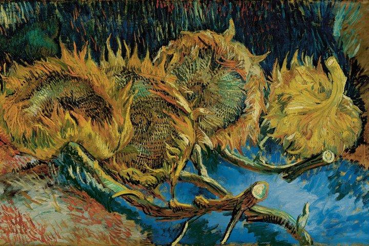 Van Gogh Museum - Kroller Muller - og middelalderlige Elburg by