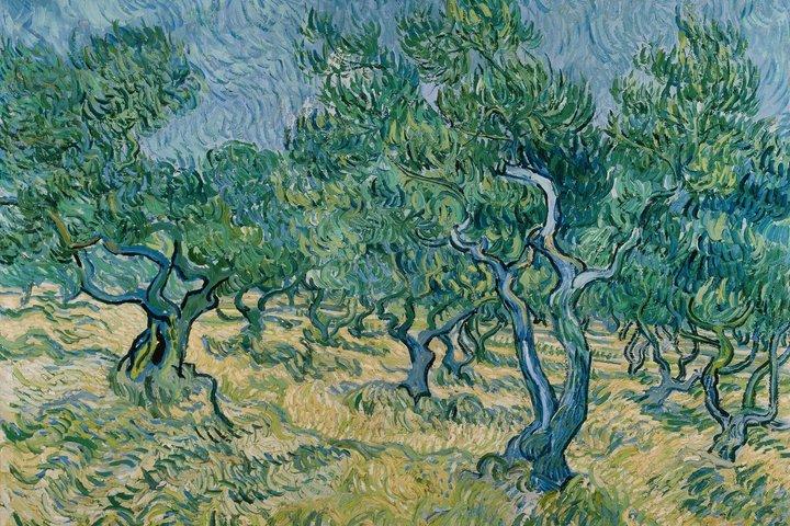 Van Gogh Museum - Kroller Muller - og middelalderlige Elburg by
