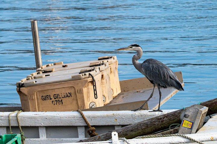ハウス城のエステートと沿岸漁村を巡る