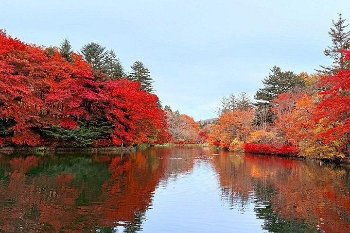 東京：軽井沢・川越・星野リゾート神社日帰りツアー