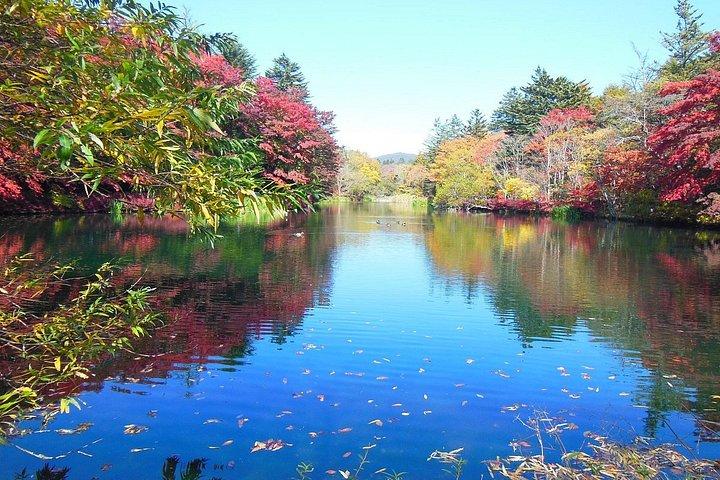 東京：軽井沢・川越・星野リゾート神社日帰りツアー