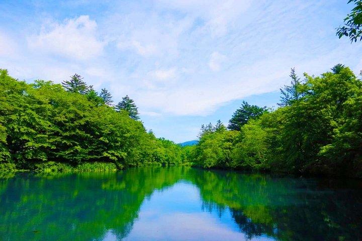 東京：軽井沢・川越・星野リゾート神社日帰りツアー