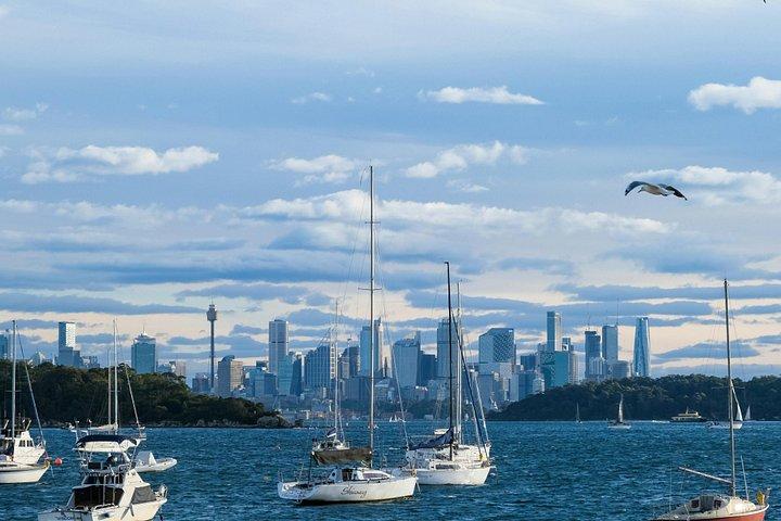 Sydney Private Highlights and Local Treasures Tour