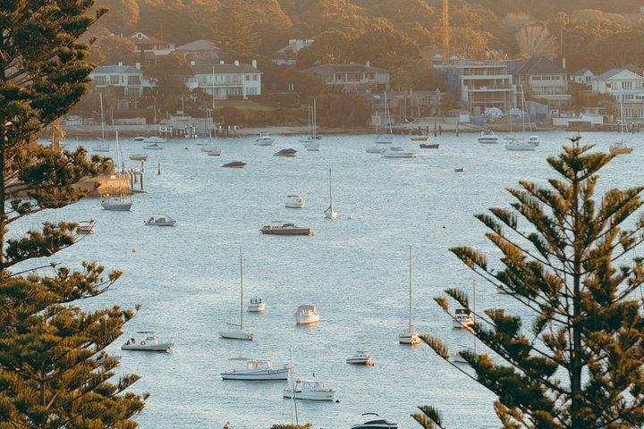 Sydney Private Highlights and Local Treasures Tour