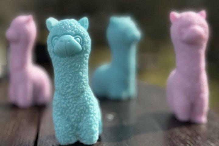 農場で石鹸作り、チンタ・セネーゼツアー、トスカーナ料理のランチ