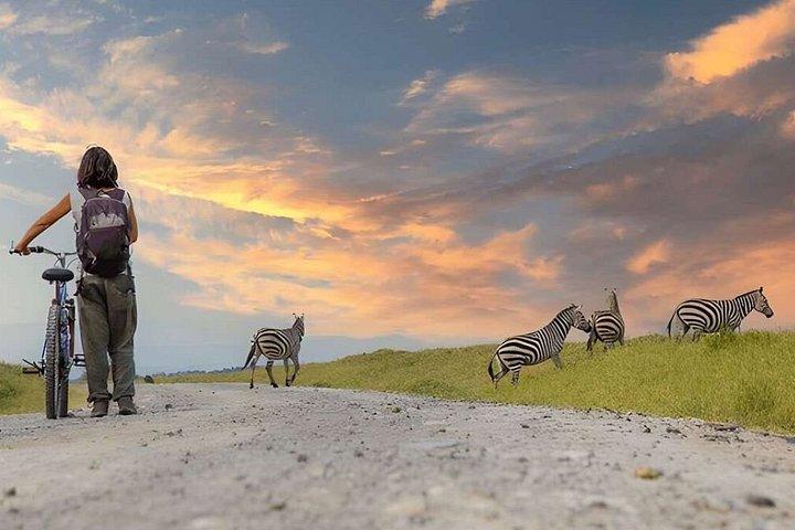 ヘルズゲートへの日帰り旅行とナイバシャ湖でのボート乗船（オプション）