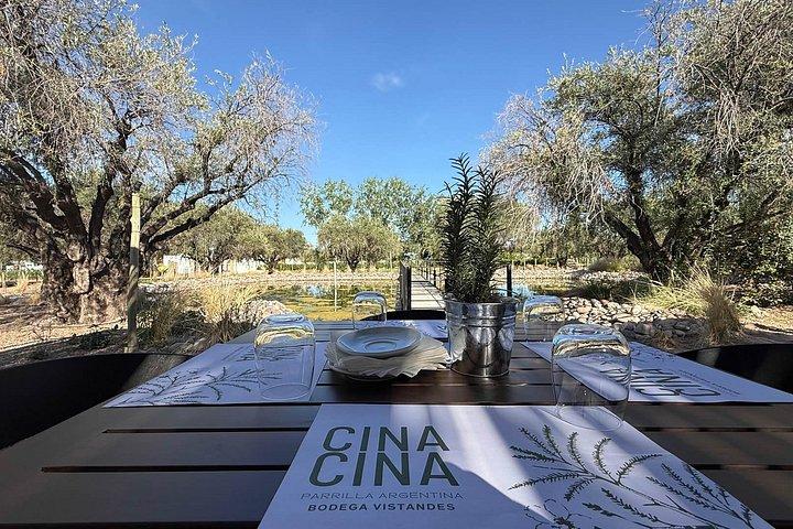 Wine Tour, Paired Lunch and Olive Oil Tasting from Mendoza
