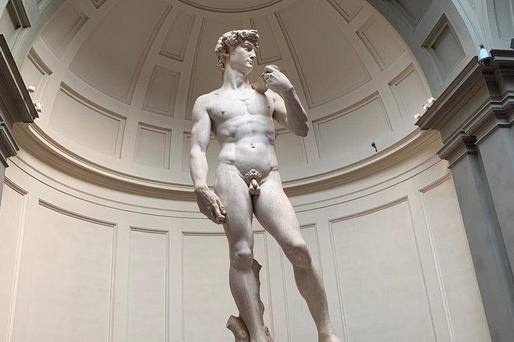 Ticket Om Michelangelo David te zien Skip the general line