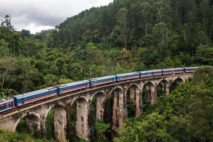 スリランカ旅行ガイド7日間の文化サファリとビーチサーフィン