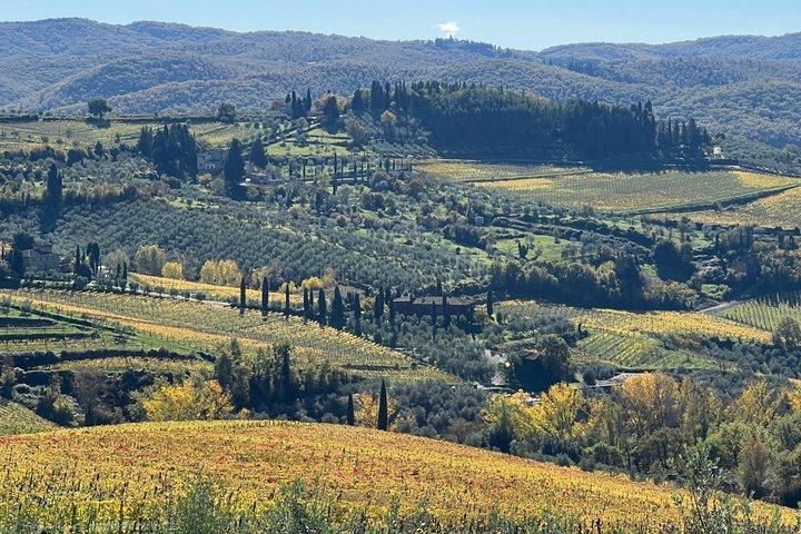 Tuscany Day San Gimignano & Certaldo con pranzo in cantina biologica