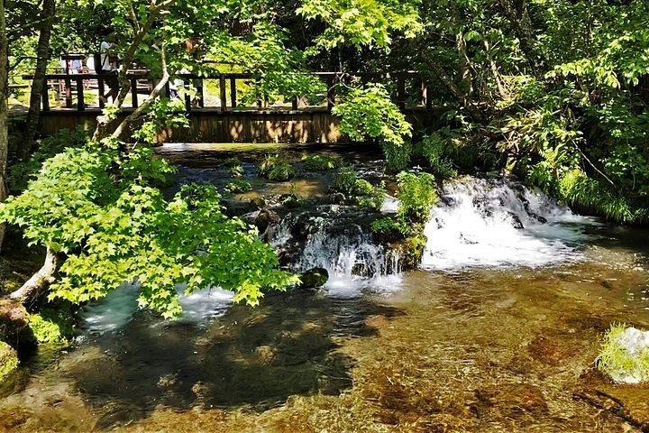 洞爺湖登別地獄谷とクマ公園日帰りツアー