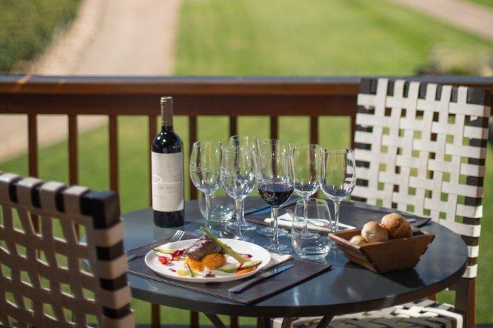 Excursão guiada privada de dia inteiro a Vinicolas de Mendoza