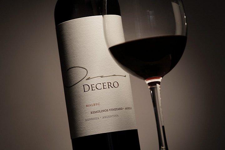 Visite guidée privée d'une journée complète de Vinicolas de Mendoza
